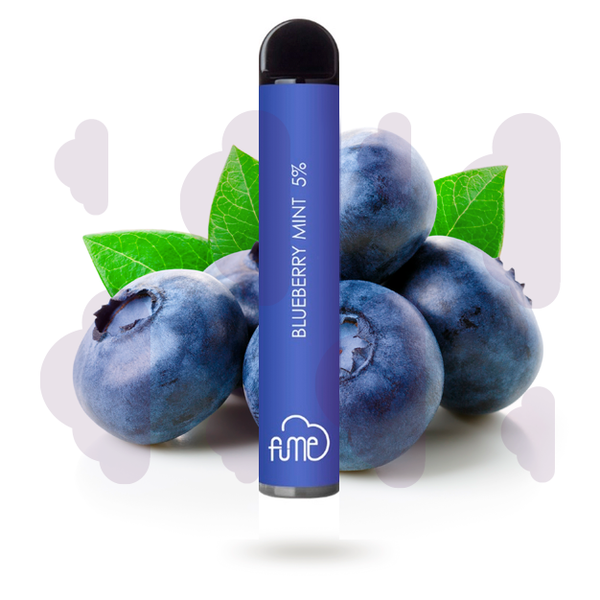 FUME Extra | Blueberry Mint